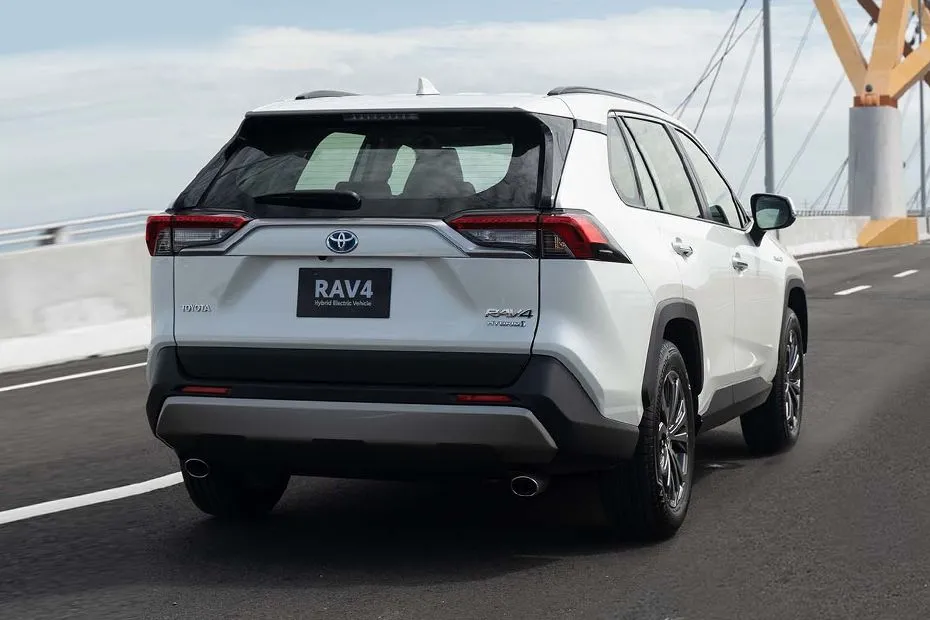 Задне-боковой вид